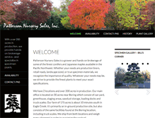 Tablet Screenshot of pns.us